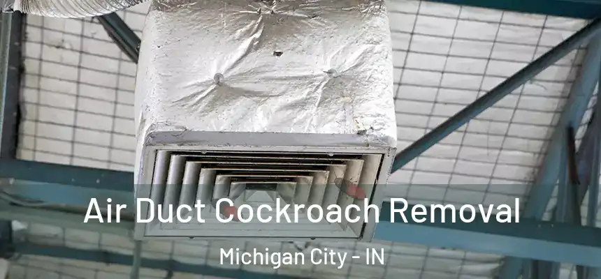  Air Duct Cockroach Removal Michigan City - IN