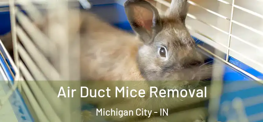 Air Duct Mice Removal Michigan City - IN