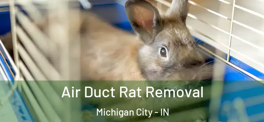  Air Duct Rat Removal Michigan City - IN