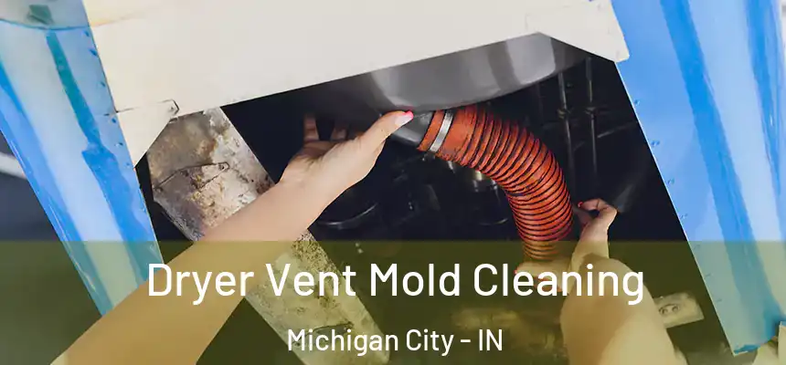 Dryer Vent Mold Cleaning Michigan City - IN