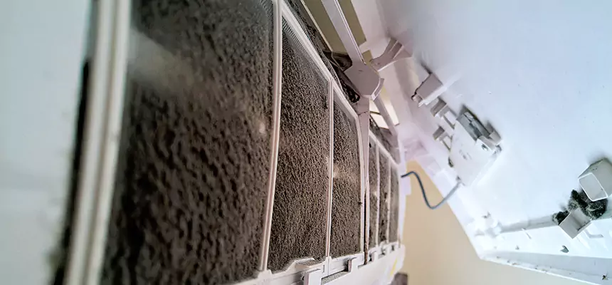 Preventive Air Duct Bacteria Removal in Michigan City