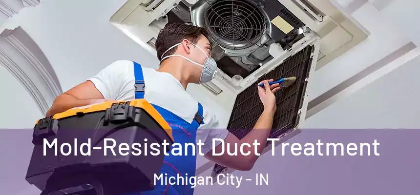 Mold-Resistant Duct Treatment Michigan City - IN