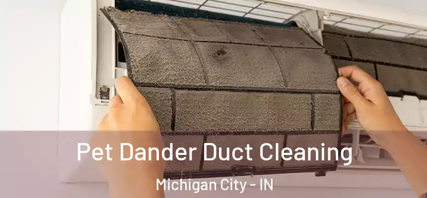 Pet Dander Duct Cleaning Michigan City - IN