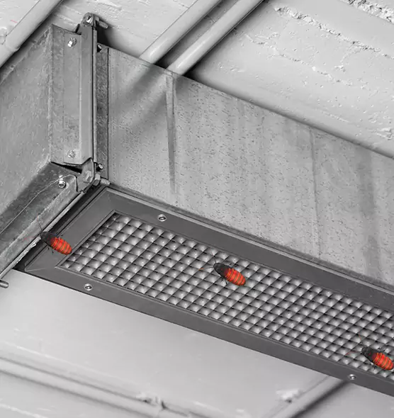 About Air Duct Cockroach Removal in Michigan City, IN