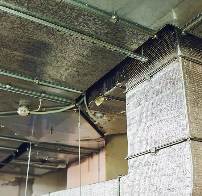 Why Homeowners & Businesses Trust Us in Michigan City, IN?